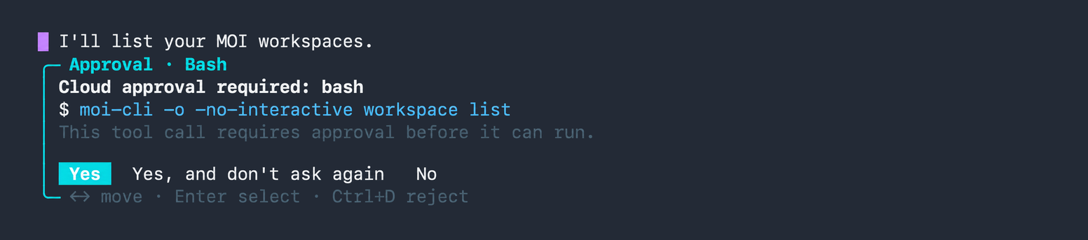Approval prompt for the first moi-cli workspace list command