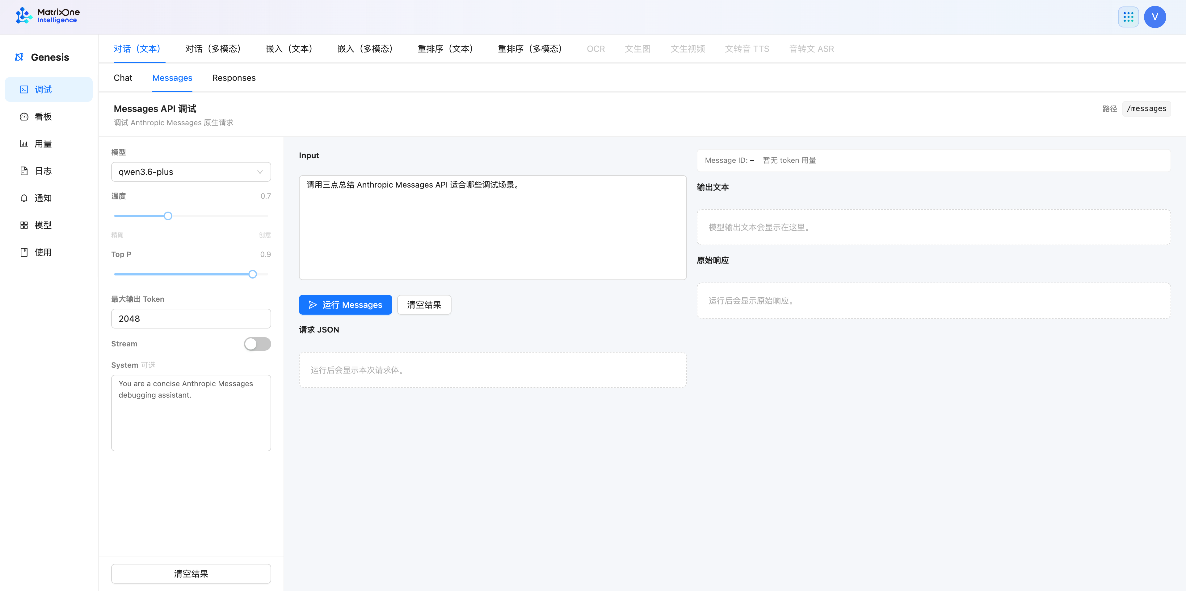 Text Messages debug page with model, system prompt, input, run button, output text, request JSON, and raw response areas.