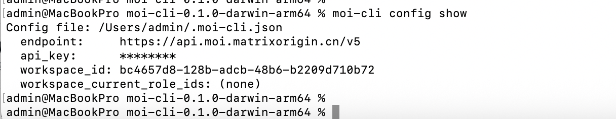 CLI config show output with the saved workspace ID and a masked personal access token
