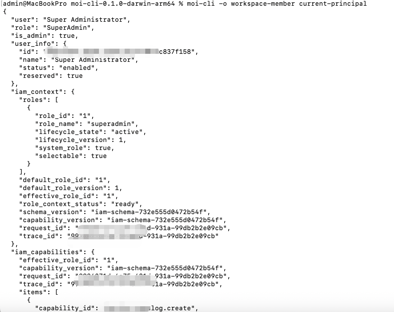 workspace-member current-principal output showing the current user, role, and enabled status