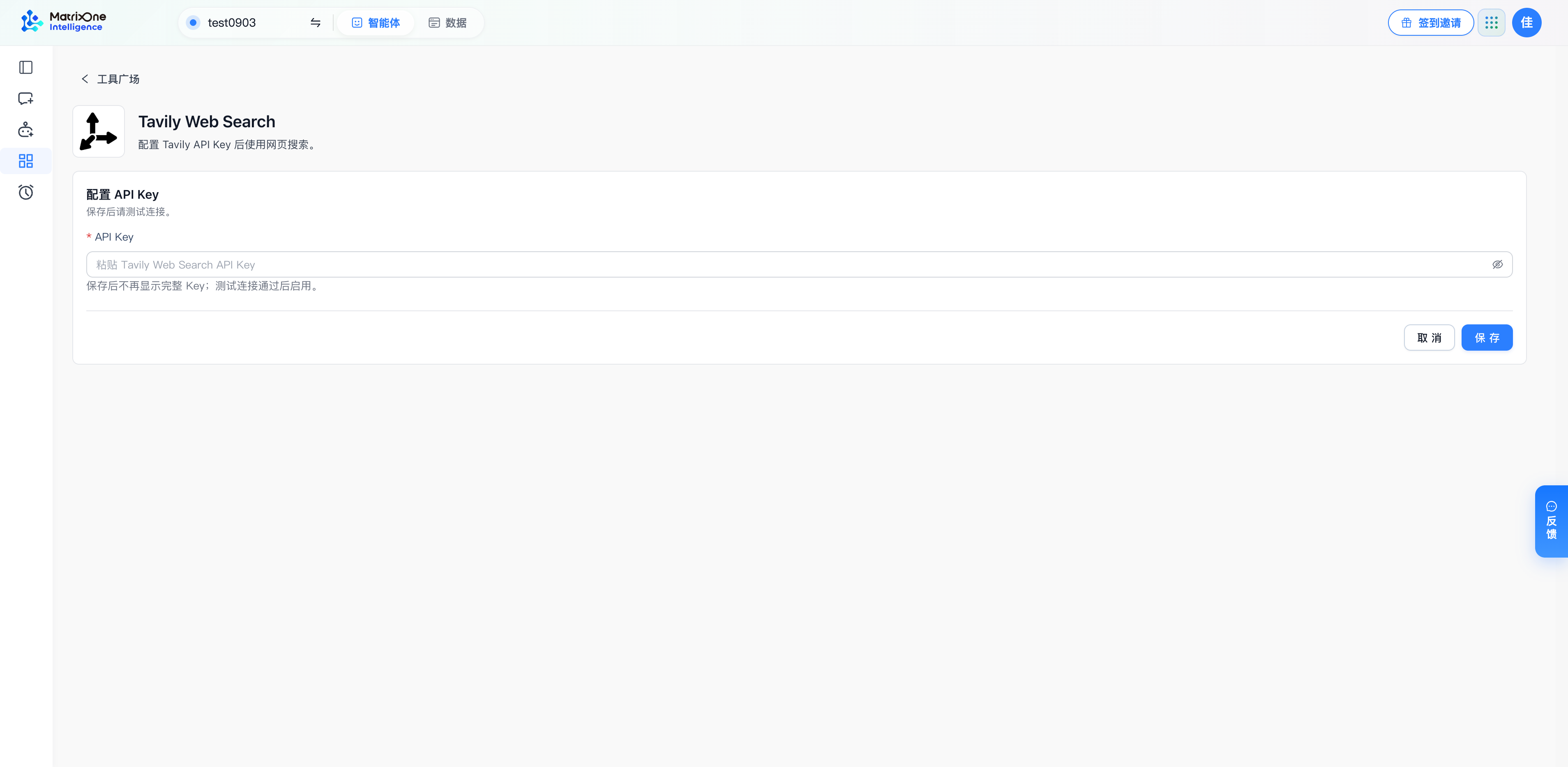 Tavily 只需填写 API Key，搜索凭证表单没有实例名称。